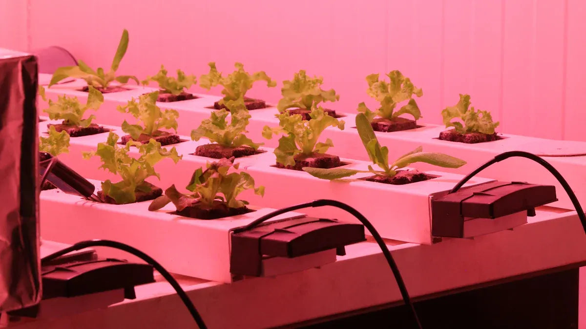 How to Use LED Grow Lights for Thriving Indoor Plants