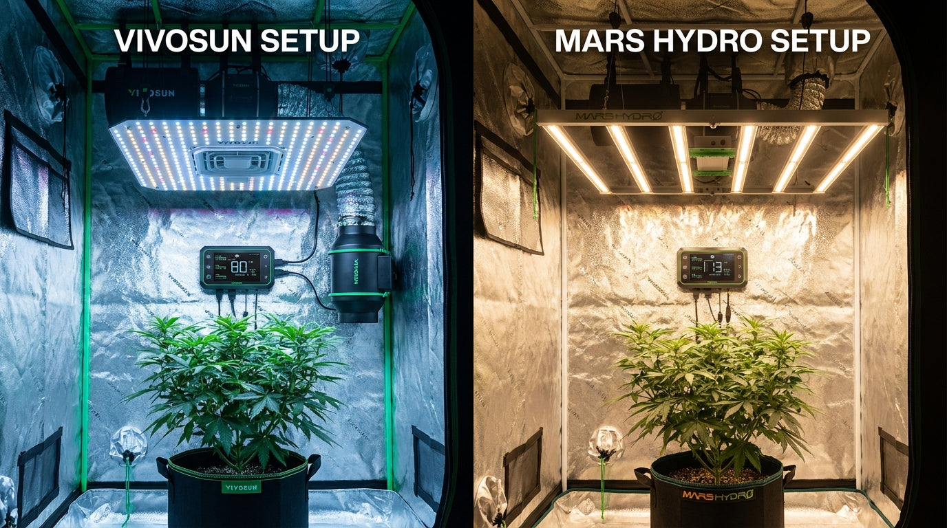 Vivosun vs. Mars Hydro: Best LED Grow Light for Indoor Plants