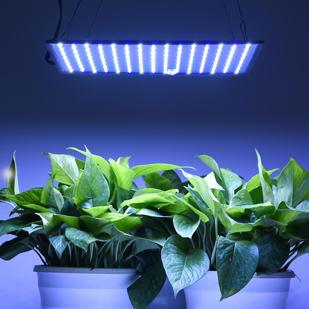 blue led lights for growing plants 225 Ultrathin Blue White LED Plant Grow Light Panel| Lumimuse