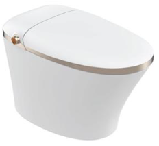 BRAVAT Smart Toilet - Model C21314W-3