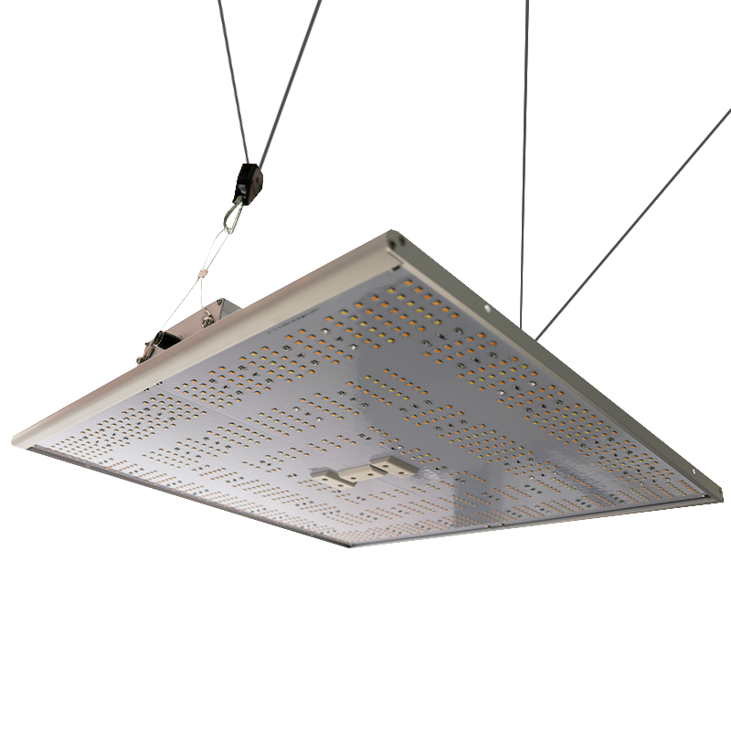 What Sets the Hacienda QB-320 LED Grow Light Apart in 2025