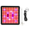 8 LED Light and Accessories - Portable and Powerful Photography Lighting