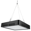 LumiMuse 8 LED Light and Accessories - Portable and Powerful Photography Lighting