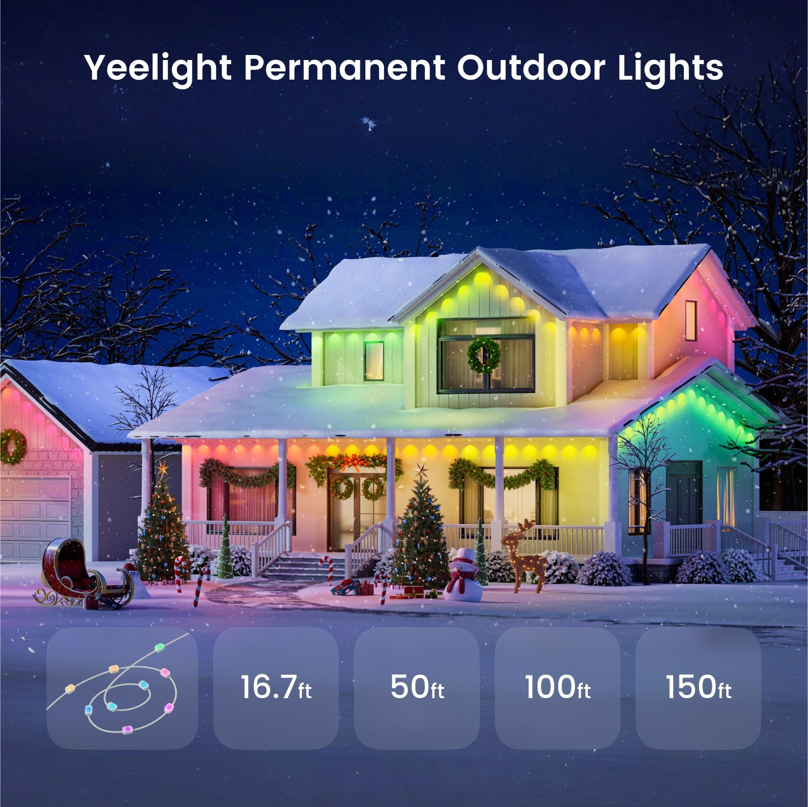 Lumimuse Holiday Lightshow Package