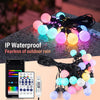 Smart Festoon Bulb String Lights — WiFi & Bluetooth, USB
