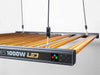 Lumimuse Xtreme Series 1000w LED Grow Light