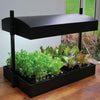 Lumimuse Grow Light Garden - Black 48w