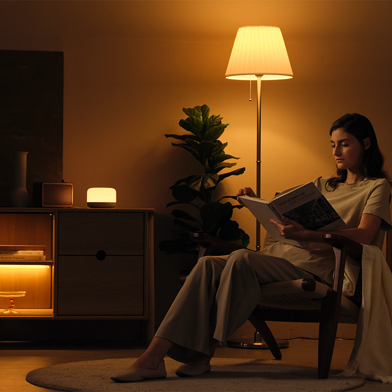 Lumimuse Smart LED Lamp D2