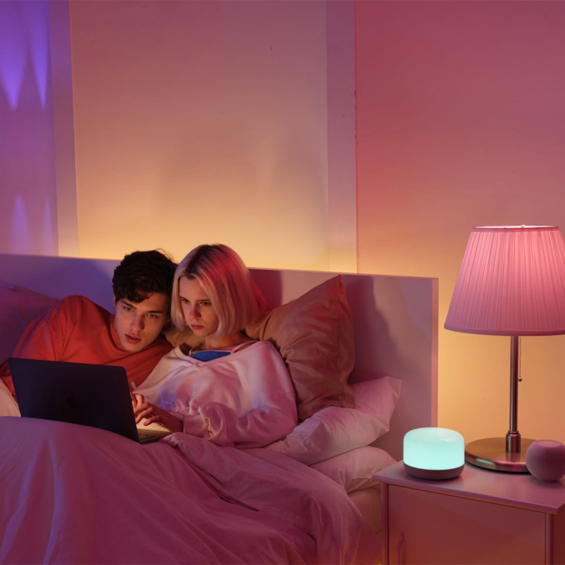 Lumimuse Smart LED Lamp D2