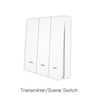 Smart ZigBee Scene Push Button Switch Single Pole Neutral Wire Optional No Capacitor